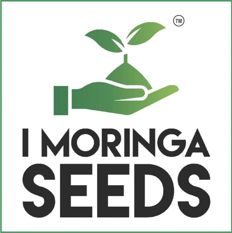 i moringa seeds logo