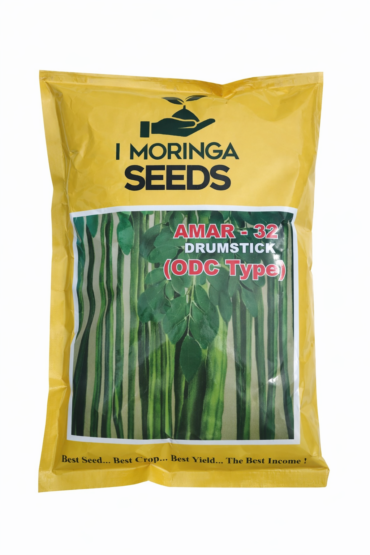 MORINGA SEEDS AMAR 32